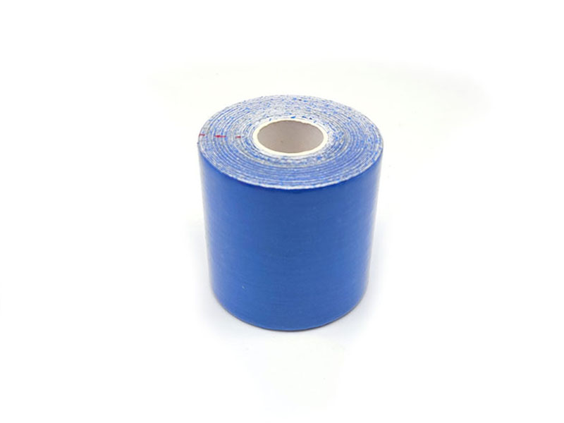 kinesiology tape for horses